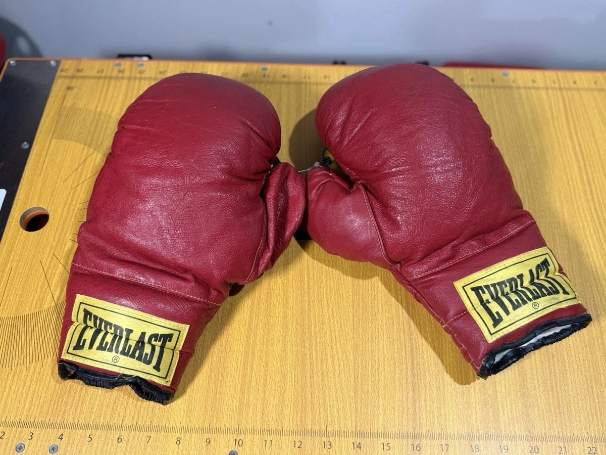 Las mejores ofertas en Guantes de boxeo Everlast | eBay