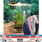 Acrylic Reptile Terrarium Gecko Lizard Snake Spider Vivarium Cage Tank Us