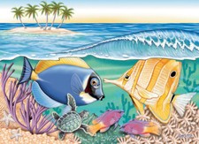 Tarjeta de cumpleaños de cirujano azul y pez mariposa 5 x 7 con sobre