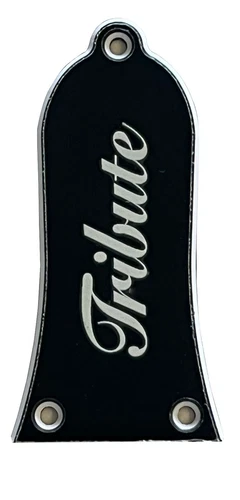 Guitar Pickguard For Gibson Epiphone Guitar Truss Rod Cover 3 Holes (Black)