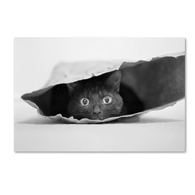 Animals Eclectic Canvas Art, 22 in x 32 in