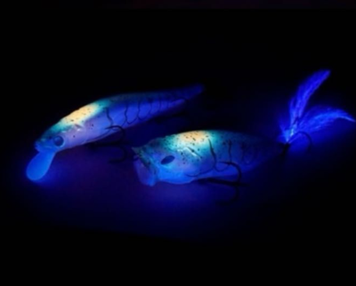 Megabass Exhibition 2026 Limited Popmax Vision Oneten Last Dance