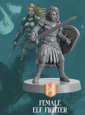 Fighter Elf Female Mini Miniature Figure Dungeons  Dragons Pathfinder D D