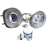 polini Zylinderkit FüR Vespa 125 Primavera ET3 D.58 Evolution Gusseisen