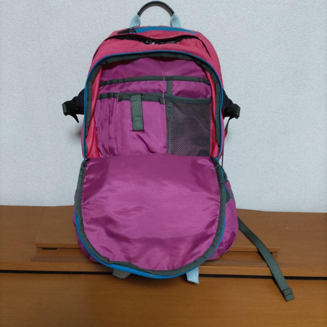 Patagonia 28L Multi-Function Backpack Pink Purple… - image 6