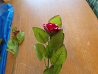 Bild 51 von 67