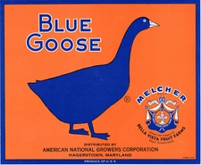 Hagerstown Maryland Blue Goose Brand 1950 Original Apple Crate Label Vintage