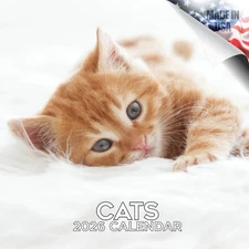 Cats Calendar 2026 FULL SIZE 12x24 Made in USA