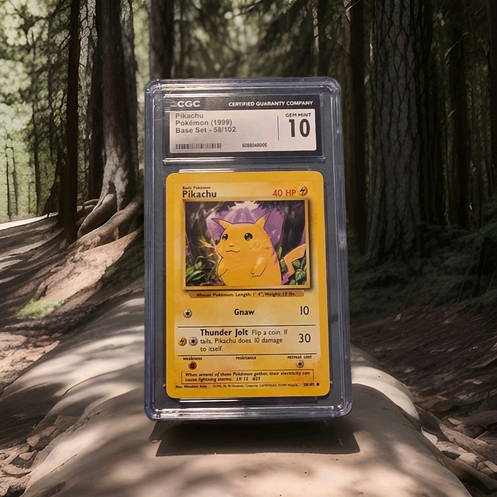 Pikachu 058/102 Base Set Regular