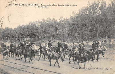 Old postcard 85 LES SABLES D'OLONNE / PROMENADE A ANES DANS LA FOREST DES PINS DE LA RUDEL