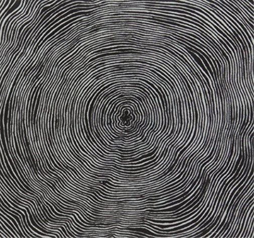 Альбом Bleeding Heart Pigeons Is (CD) (ИМПОРТ ИЗ Великобритании)