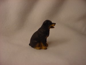 small rottweiler puppy