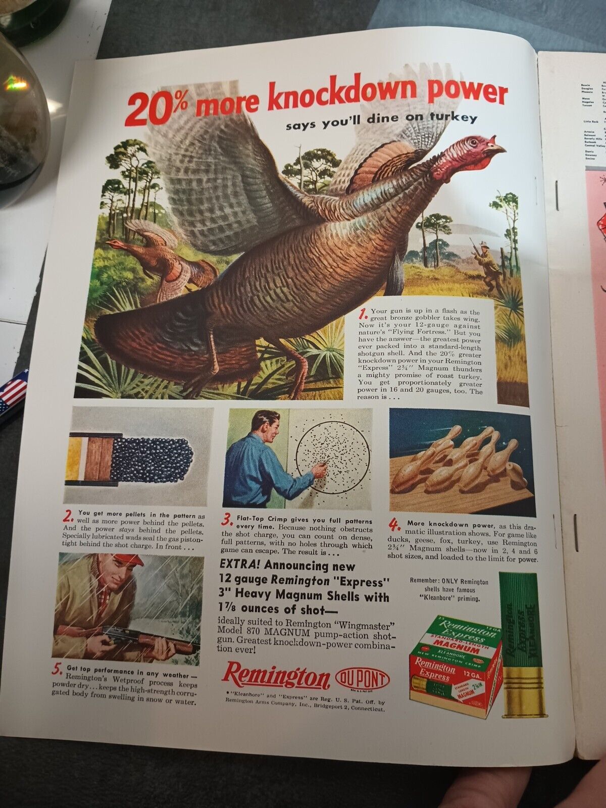 Picture 4 of 11