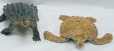 AAA Notched Turtle 1 Sea Turtle Realistic Life-like replica 4.5