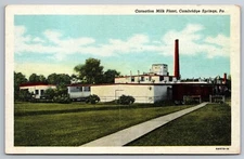 Carnation Milk Plant Cambridge Springs PA Postcard P8