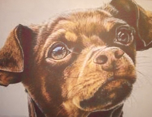 Impresión de retrato de 8" x 10" mate de 5" x 7" de un pequeño perro cachorro Chihuahua marrón - Imagen 2 de 3