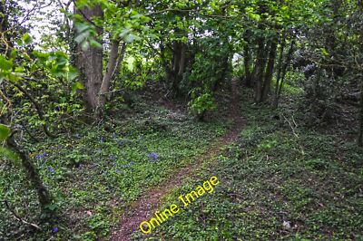 Foto 6x4 Wychavon: Pfad Trotshill Ein Pfad führt durch einige Büsche NE C2014