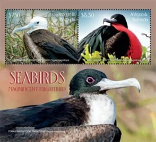 Antigua & Barbuda 2019 - Seabirds S/S - Scott #3559 MNH