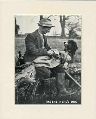 BEARDED COLLIE SHEPHERD AND HIS DOG OLD STYLE PHOTO PRINT MOUNTED READY TO FRAME