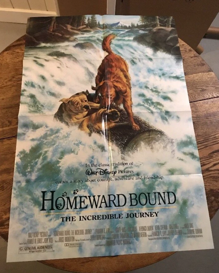 Homeward Bound Movie Poster
