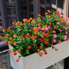 Bild 22 von 77