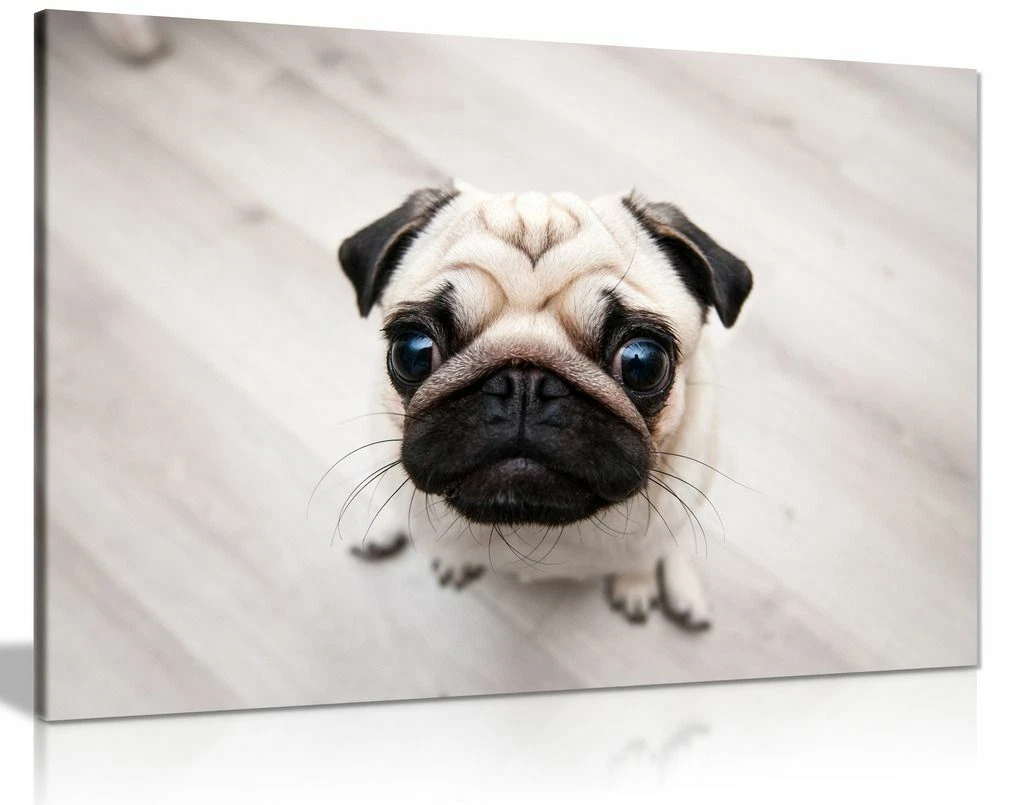 Cute pug art 2025