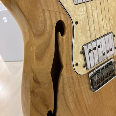 Fender Mexico '72 Telecaster Thinline Safe Packing! | eBay