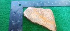 Rough Slab Yellow Dendritic Jasper 116g. 5/16" Thick Lapidary Cabbing #B-4 — photo 3