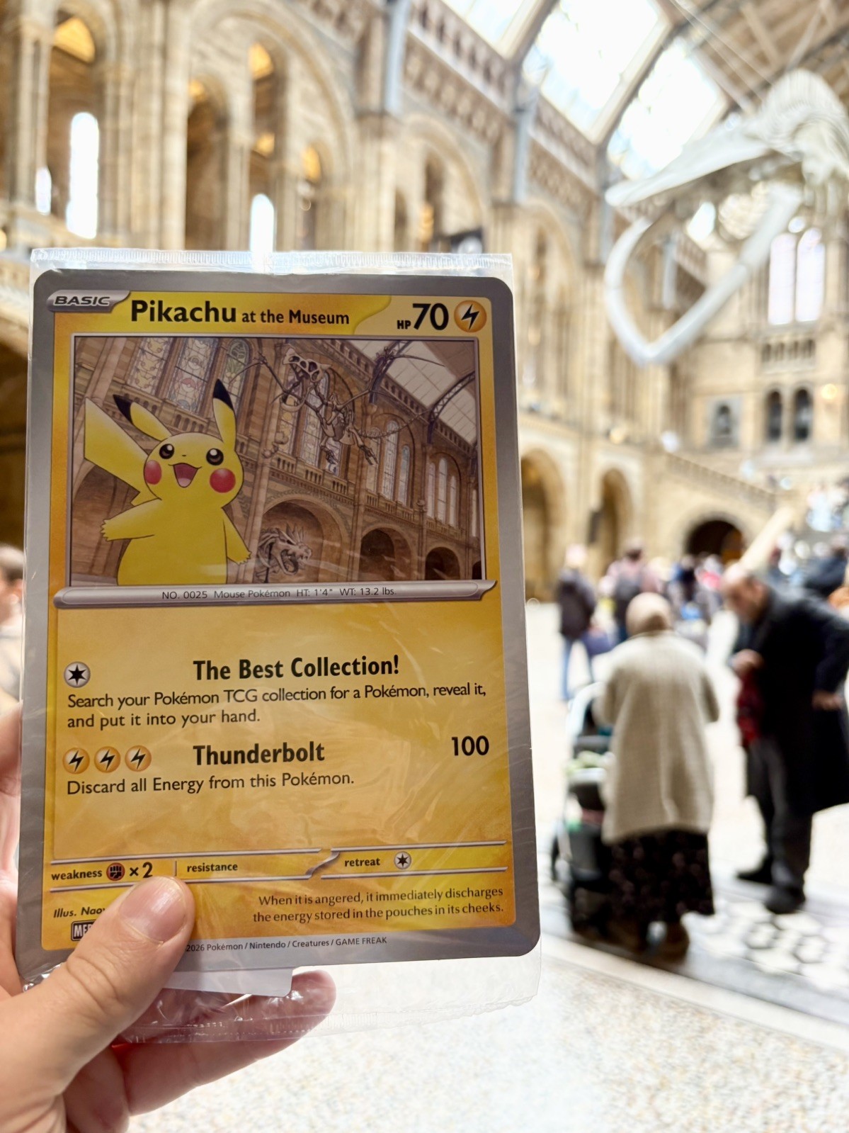 Pokemon TCG ⚡️Pikachu At The Museum⚡️ Jumbo Promo Card *Sealed New*