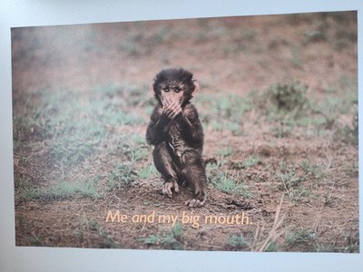 Vtg NOS Argus Poster 1980  Me and My Big Mouth - Monkey