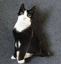 Black Cat 20" Printed Pillow Stuffed Animal Plush Toys Toddler Doll Kids Gifts