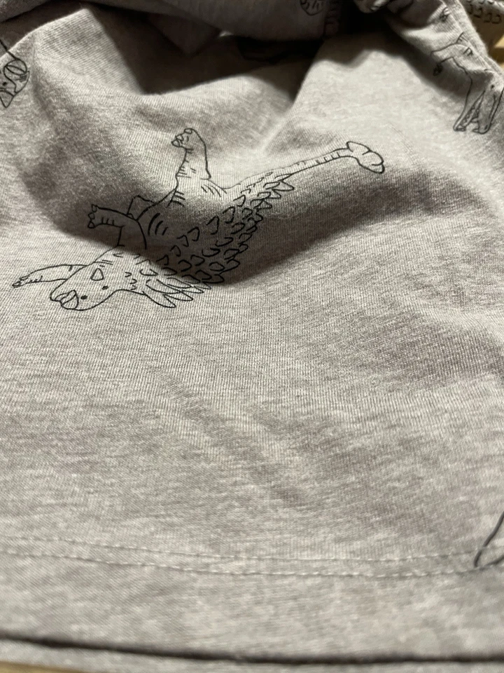 Camiseta infantil dinossauro manga longa 12 m cinza sem marca - Imagem 4 de 4