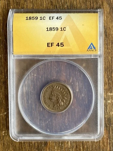 1859 INDIAN HEAD CENT ANACS EF45