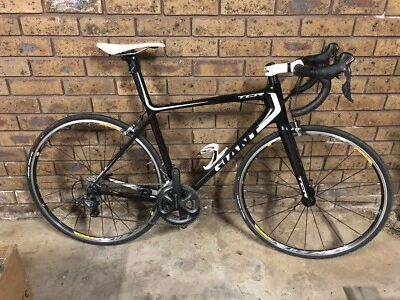 giant tcr gumtree
