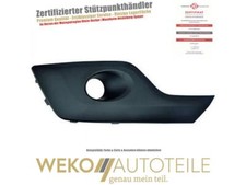 Lüftungsgitter, Stoßfänger rechts DIEDERICHS 1456048 für FORD