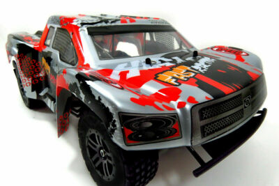 2.4G 1:12 RC Pathfinder Remote Control Racing Truck Silver | eBay