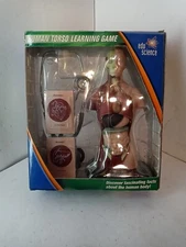 Human Torso model Home School Edu Science Kit  with Working Stethoscope anatomy