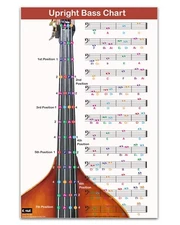 QMG Upright Bass Fingering Chart with Color-Coded Notes, Double Bass Chart 11x17