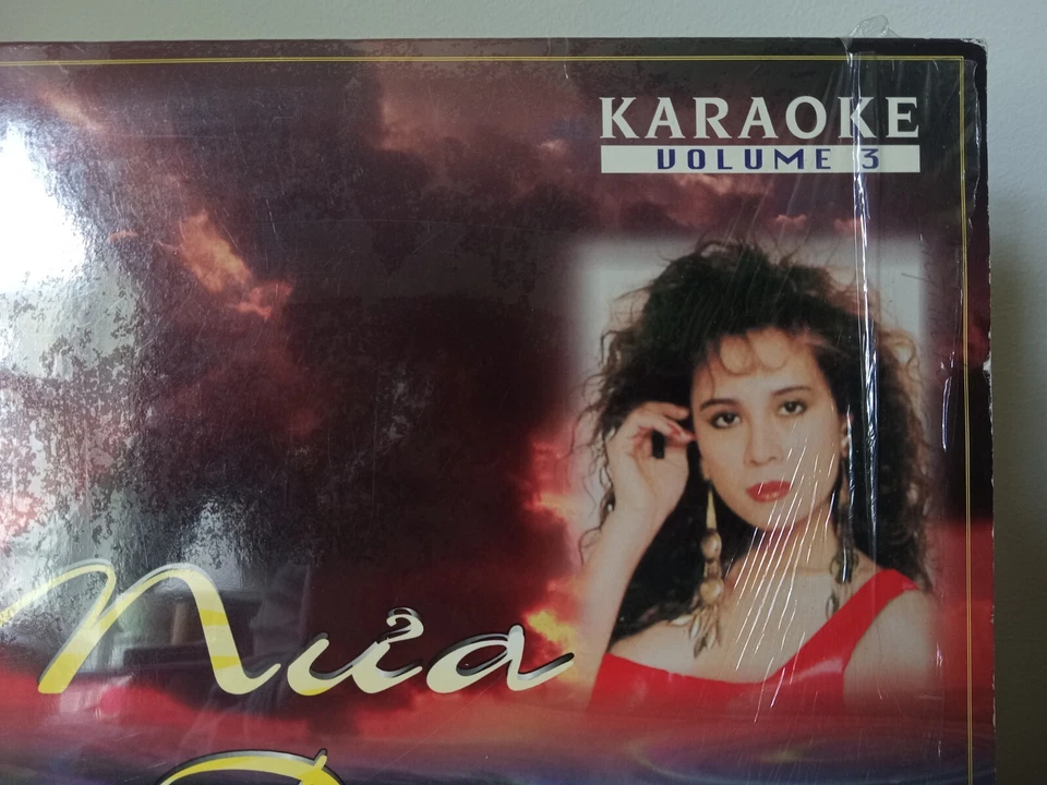 Nguoi Dep Binh Duong Gold Volume 3 - Mua Dem - Vietnamese Karaoke Laserdisc Pop - Image 4 of 4