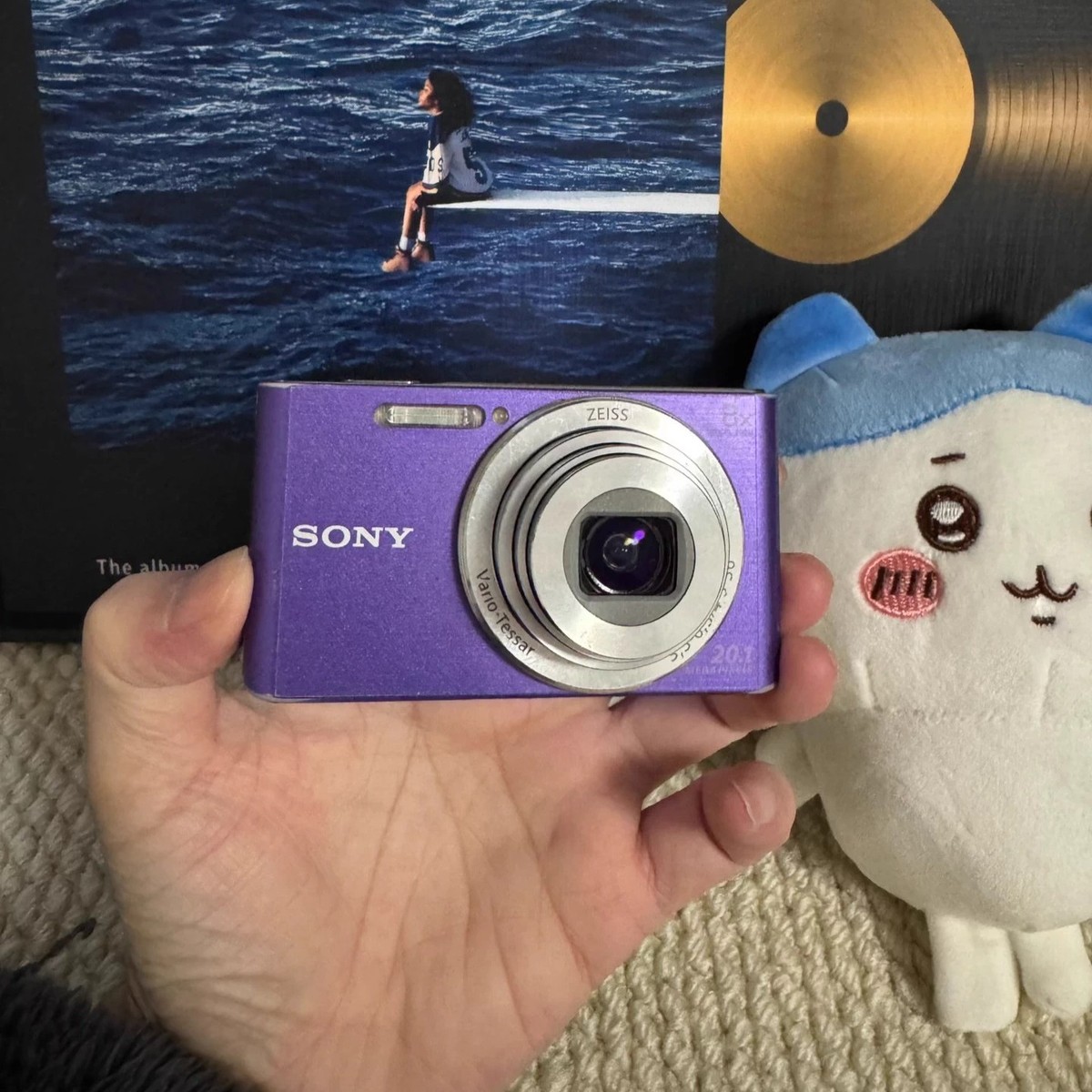 Sony Cyber-shot DSC-W830 Digital Camera 20.1 MP 8x Optical Zoom