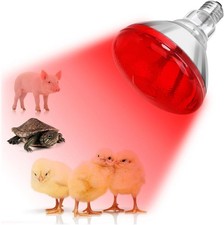 Infrared Heat Lamp Bulb for Chickens Red Heat