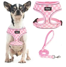 PUPTECK Soft Mesh Dog Harness And Leash Set Pet Puppy Cat Comfort Padded Vest No