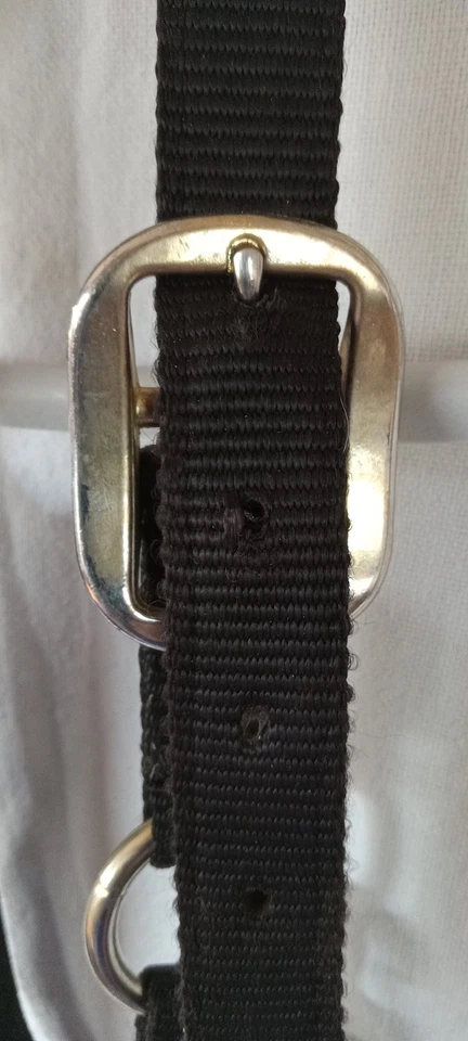 Fabtron качество 1 дюйм   Лошадь с бретелью через шею 800-1000 фунтов сделано в США черная. нейлон - Изображение 2 из 4