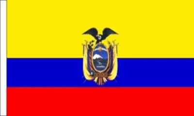 9 Zoll x 6 Zoll (23 x 15 cm) Ecuador Ecuadorianische Polyesterärmel kleine Hand wehende Flagge
