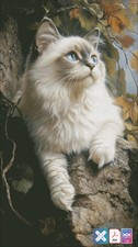 Ragdoll Cat Counted Cross Stitch Pattern