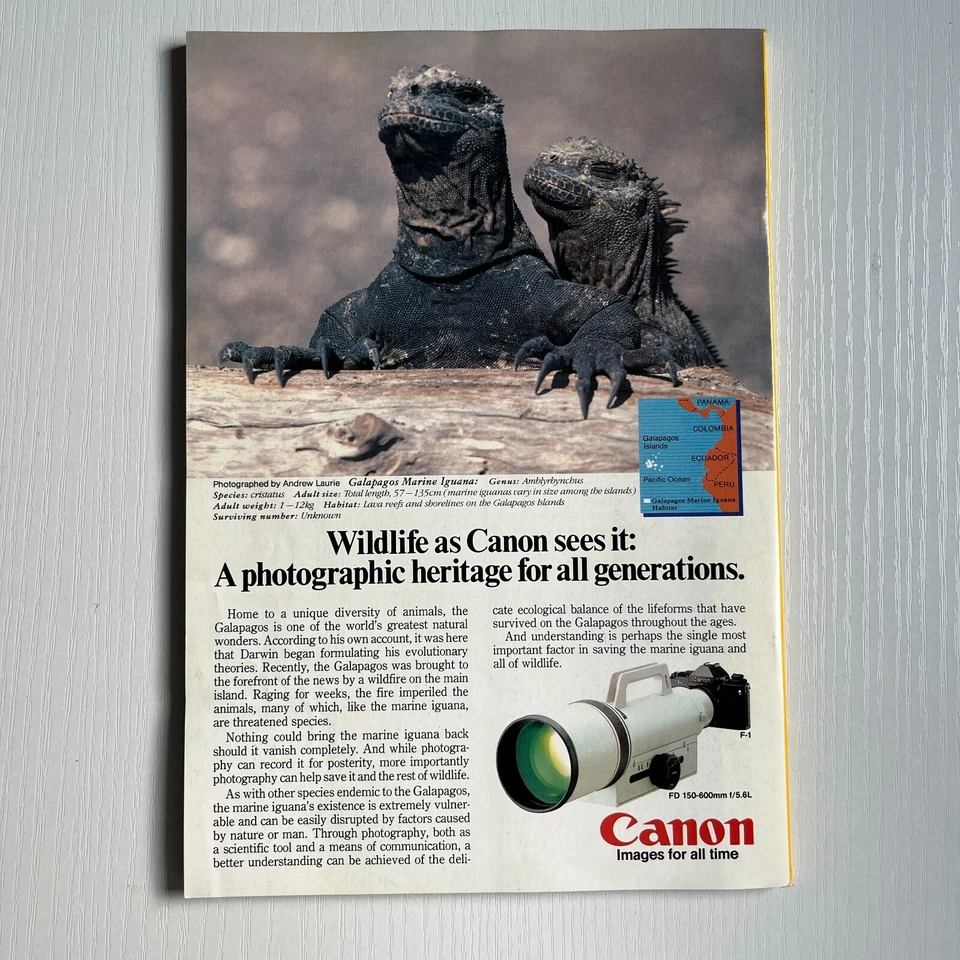 National Geographic Magazine octubre 1985 rastro del incienso de Arabia Foto 3 de 3