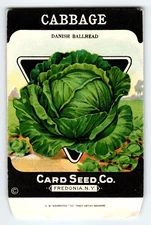 Danish Ballhead Cabbage 1920's Card Seed Co Packet EMPTY Vintage Fredonia NY