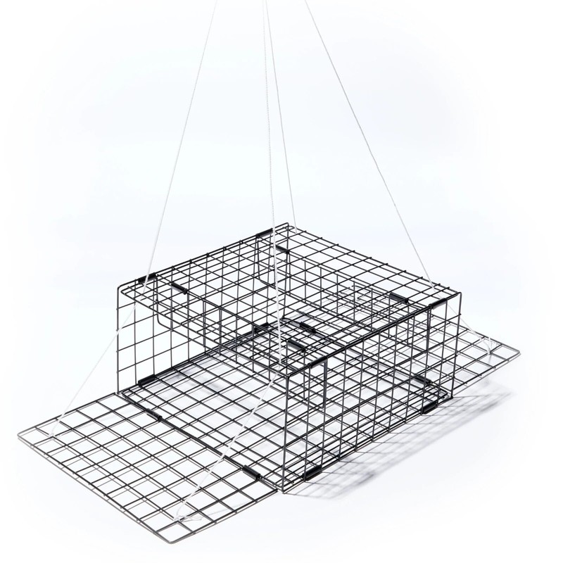E-Z Catch Stowaway Collapsible 2 Door Trap 12"X12"X 6" ( Bundle of 2)