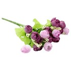 Bild 5 von 57