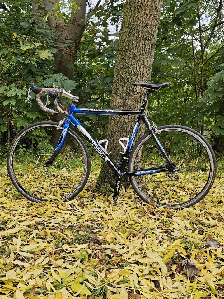 Vintage Retro Pinarello Angliru Campagnolo Aluminium Frame Carbon Fork